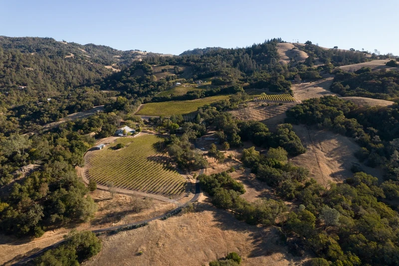 Vineyards And Vistas, view 1