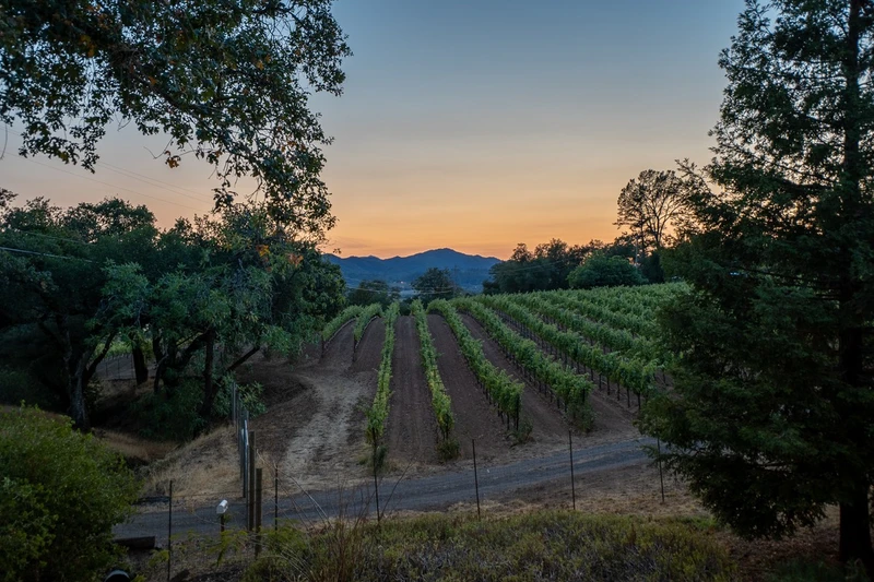 Vineyards And Vistas, view 3