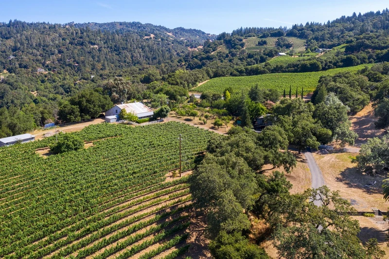 Vineyards And Vistas, view 11
