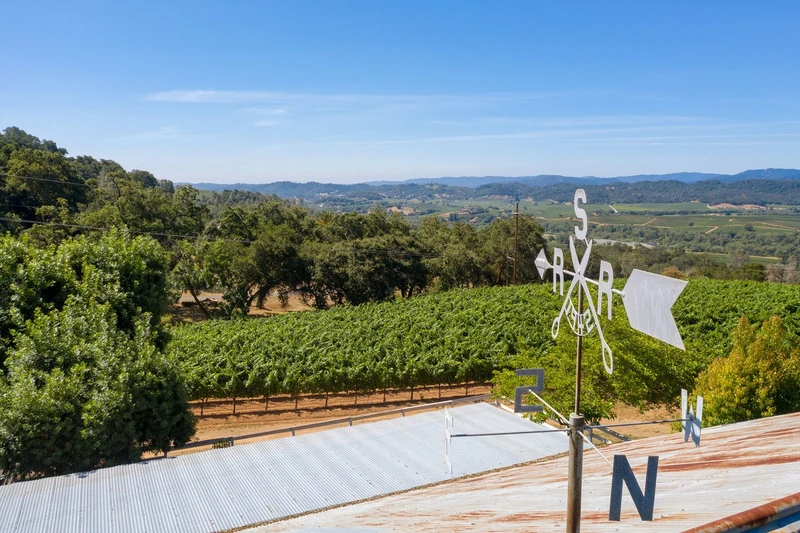 Vineyards And Vistas, view 12