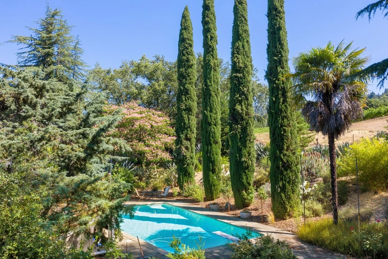 Vineyards And Vistas, view 13